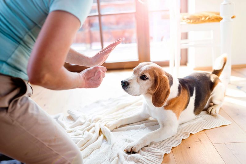 «Место» в доме
