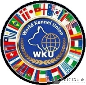 Фото №4. Кинолог в  Украине. Объявление №150034