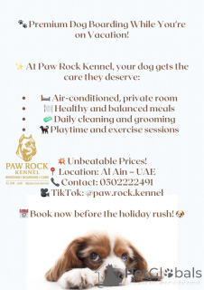 Фото №4. Гостиница для животных в  Объединенных Арабских Эмиратах. Объявление №145660