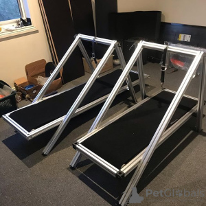 Фото №1. Качественная мельница для планок и ковров для собак в Торонто. Цена договорная. Объявление №44615