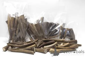 Фото №1. Ready-to-use thermally processed antlers from reindeer and moose в Омске. Цена Бесплатно. Объявление №139159